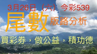 今彩539｜尾數｜牛哥539｜2022年3月26日（六）今彩539尾數版路分析內含隱藏孤支版路｜感謝版路交流@king1688 ｜#539