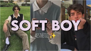 The Softboy Aesthetic For Men✨