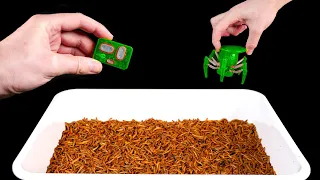 ROBOT CRAB AND 10,000 MEALWORMS