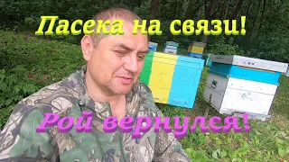 ✅ Рой вернулся! Нашел матку с меткой! Пасека на связи! #ПЧЕЛОВОДСТВО6