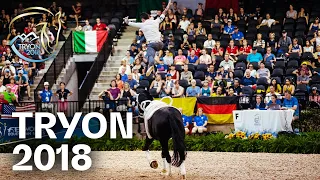 RE-LIVE | Vaulting - Male Freestyle Final - Tryon 2018 | FEI World Equestrian Games™