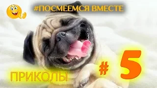 Посмеемся вместе # 5 приколы смех юмор февраль 2019