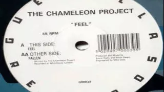 The Chameleon Project - Feel [Guerilla records]