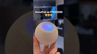 Apple homepod mini на русском и умный дом