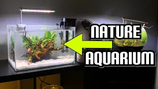 Building A Nature Aquarium -The Forgotten Aquascape- *Embarrassing Story Time*