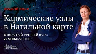 КАРМИЧЕСКИЕ УЗЛЫ В НАТАЛЬНОЙ КАРТЕ. СТАЦИОНАРНЫЕ, ДИРЕКТНЫЕ, РЕТРО.  1-й курс Астролог Елена Негрей