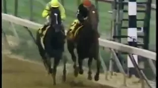 1989 Preakness Stakes - Easy Goer -vs- Sunday Silence