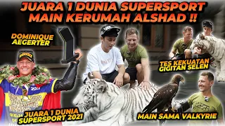 PEMBALAP TOP KELAS DUNIA DOMINIQUE AEGERTER DATANG KERUMAH ALSHAD ! NYOBAIN G1G1TAN SELEN !!