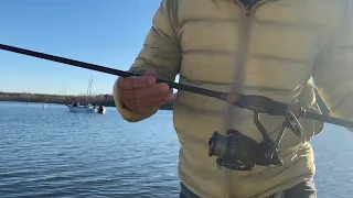 Shimano vanford c3000hg in action