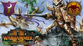 Are Cold One Dread Knights Now GOOD? Dark Elves Vs Beastmen. Total War Warhammer 2, Multiplayer