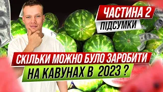 Ґрунтовий кавун без поливу.Підсумки,скільки заробили ? 1000000$ ?