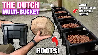 The Dutch Multi-Bucket Experiments