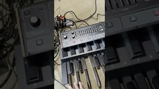 Behringer Toro - Moog T1 - Moog T3 - Moog Minitaur side by side test