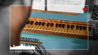 Marcello/Bach: Adagio in D minor BWV 974 - Bigi Ewerhart | La Mantovana