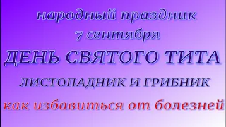 7 сентября народный праздник Титов день. Народные приметы и запреты.