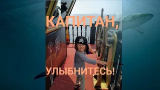 Капитан улыбнитесь караоке припев #shorts