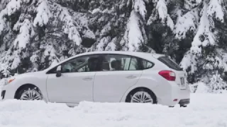 Snow Tires vs All-Seasons Tires with Subaru All-Wheel Drive