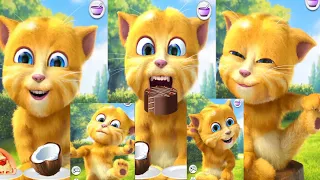 Talking Tom | Talking Ginger Funny Video 🐸🦎🐍🐉🦖🦕#tom#cat #gameplay