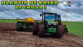 VOLTAMOS COM O PLANTIO DO MILHO SAFRINHA EM BAIXO DE CHUVA 🌱🌦️💥!!!
