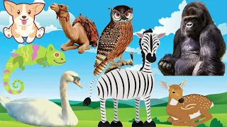 Familiar Animals Sound. Horse , Elephant , Tiger , Lion , Monkey , Birds , Giraffe . Ep - 5.