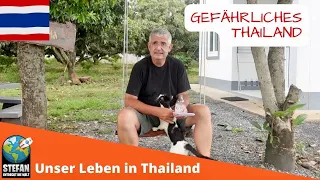 Gefährliches Thailand   #expat  #gefährlich   #verkehr  #insekten  #thailand2022   #auswandern