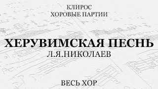 Херувимская песнь. Николаев. Весь хор