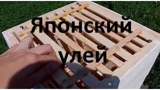 Японский улей на 8 сот Без рамок