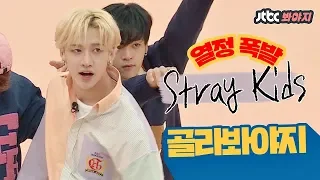 [골라봐야지][HD/ENG] 갓 한 살 된 '스트레이 키즈(Stray Kids)'의 열정 폭발 모음ZIP♥ #아이돌룸 #JTBC봐야지