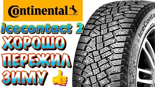 ✅👍CONTINENTAL IceContact 2 ШИПЫ В ЭТОЙ МОДЕЛИ, ДЕРЖАТСЯ! МОЁ ПОЧТЕНИЕ!