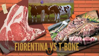 Bistecca alla Fiorentina o Costata, differenze tra Tbone, Entrecote, controfiletto e Filetto steak