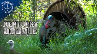 INCREDIBLE KENTUCKY TURKEY HUNT | TWO GOBBLERS in ONE DAY | HUNTING PUBLIC, HUNTING PRIVATE