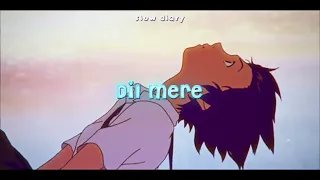 Dil Mere [slowed + reverb + bass boosted]  - The Local Train | slow diary