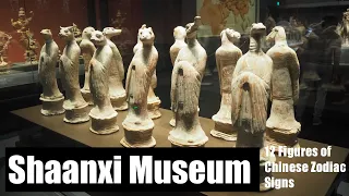 Shaanxi History Museum | Where Was China From?