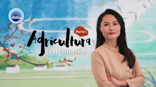 Agricultura en China: De la subsistencia a una agricultura moderna y sostenible