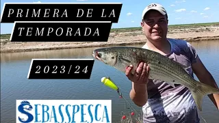 Pesca de Lisas "temporada 2024"