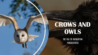 Crows and owls: Book 3 of Panchatantra