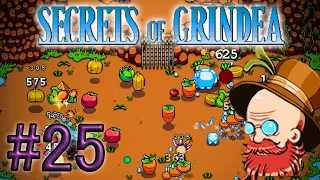 More gold Cards & Saving Farmera - Secrets of Grindea #25