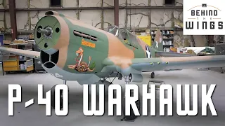 P-40 Warhawk | Behind the Wings