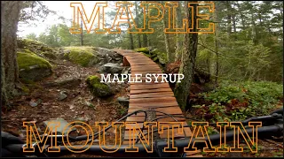 What An Exciting Trail! ~Maple Mountain Mountain Biking Maple Syrup~Vancouver Island Mountain Biking