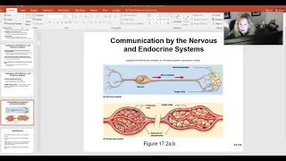 Endocrine system PART 1