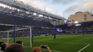 Stamford Bridge LIQUIDATOR Song Before the game