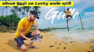 Sea Turtles | Thalpe beach | koggala stilt fishing | ගාලු කොටුවේ කාලතුවක්කු හමුදාව 💣