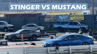 Kia Stinger GT vs Mustang GT Drag Race