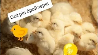 Обігрів бройлерів таблиця