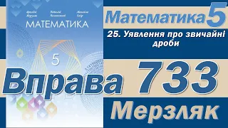 Мерзляк Вправа 733. Математика 5 клас