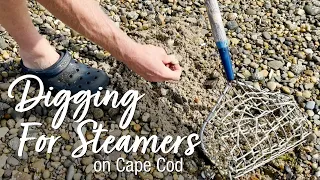 Digging For Steamers on Cape Cod
