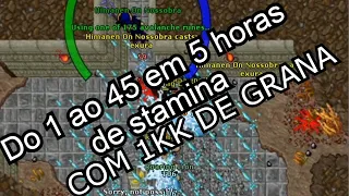 Do 1 ao 45 em 5horas de stamina Tibia Ed e Ms hunts