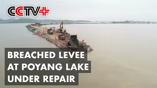 180m Long Breached Levee at China's Largest Freshwater Lake Under Repair