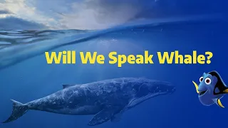 AI Learning Whale Languages