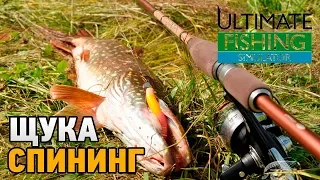 Ultimate Fishing Simulator # Щука ,спининг